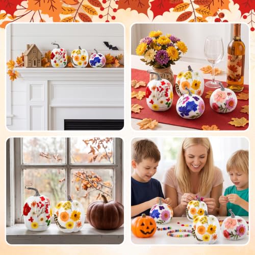 White Artificial Pumpkin Craft Kit with Dried Flowers, 24 Pieces