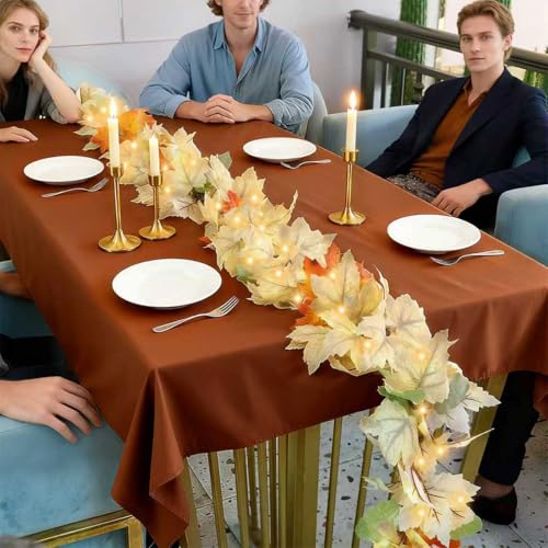 9ft Fall Garland Lights with 50 Warm Incandescent Bulbs - Indoor Outdoor Thanksgiving Decor