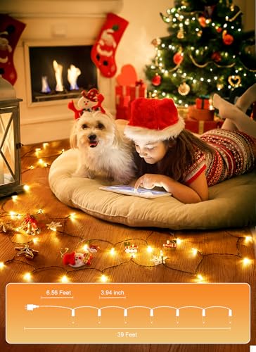Warm White LED Christmas Mini String Lights 2 Pack - 39 Feet, 8 Modes, Connectable Outdoor Holiday Decor