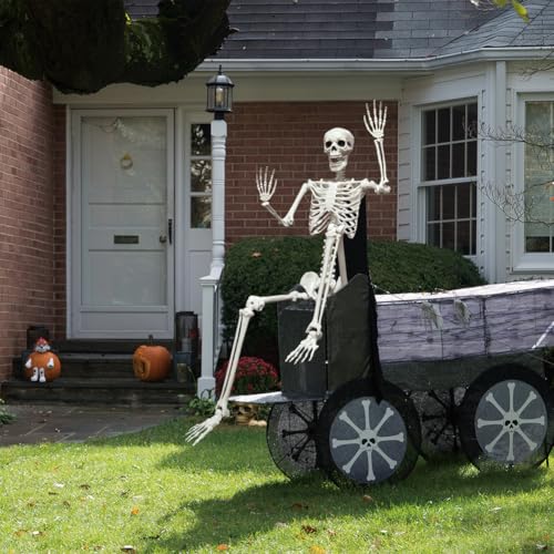 5.9FT Poseable Life Size Skeleton for Halloween Garden Party Decoration - 1 PCS