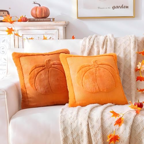 Rust Pumpkin Fall Throw Pillow Cover 18x18 - Autumn Decor, Plush Fabric, Set of 1