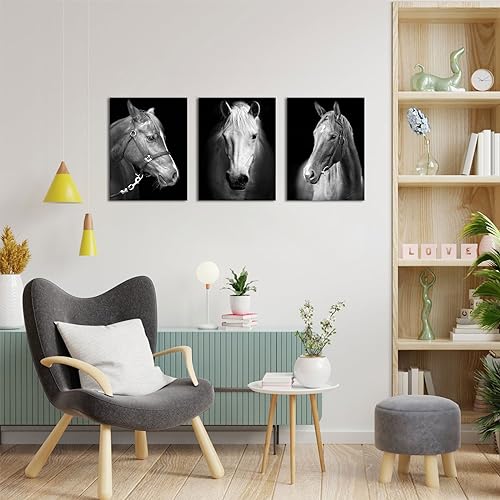 Black White Horse Canvas Wall Art Set - 12x16 Inch Modern Horse Portraits