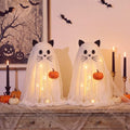 Halloween Ghost Cat Light Set with DIY Crafts & Decorations - Variation of Ghost Cat