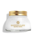 L'Occitane Immortelle Body Balm - Nourishing Shea Formula | 6.90 oz for Soft, Hydrated Skin