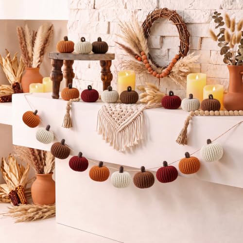 Rustic Fall Pumpkin Garland Crochet Thanksgiving Decor - 8.2 ft Colorful