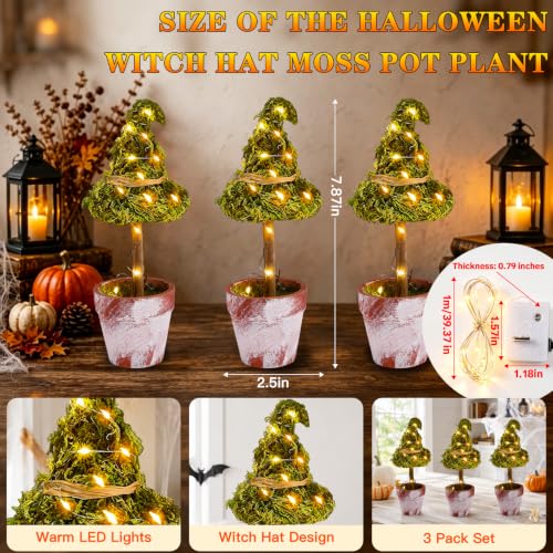 Halloween Witch Hat Topiary Decor with LED Lights - 3 Pieces, Woodland Style