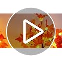 Fall Decor 2 Pack 24-Inch Lighted Maple Trees with 48 LEDs & Timer - Style 1