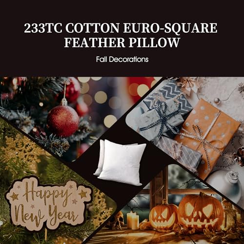 Euro Throw Pillow Set 2 Pack - 26x26 Inch Medium Firm Cotton Cushions