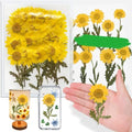 Yellow Dried Daisy Flowers with Stem for Resin Crafts - 42PCS Natural Pressed Flowers for Jewelry Phone Case Candle Home Decor