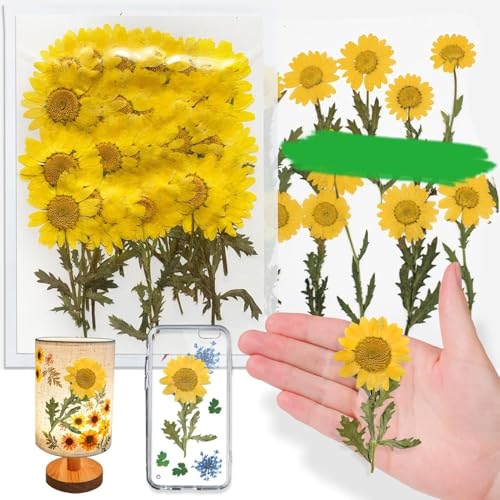 Yellow Dried Daisy Flowers with Stem for Resin Crafts - 42PCS Natural Pressed Flowers for Jewelry Phone Case Candle Home Decor