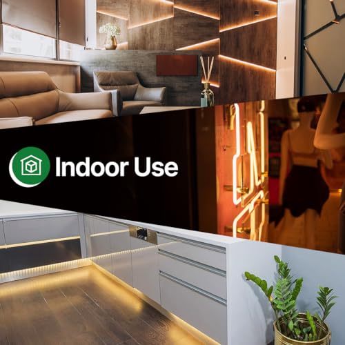 2 Pack Clear Incandescent Rope Lights 24ft Waterproof Connectable Decor
