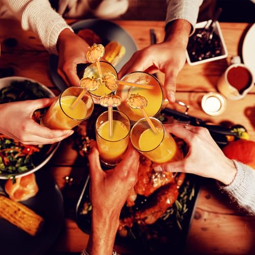 Pumpkin Glass Drink Stirrers - Fall Swizzle Sticks for Cocktails & Coffee - 12 Pack