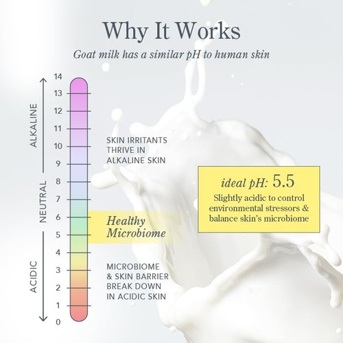 Beekman 1802 Goat Milk Soap - Moisturizing Hand & Body Bar with Shea Butter | Honey & Orange Blossom, 9 oz