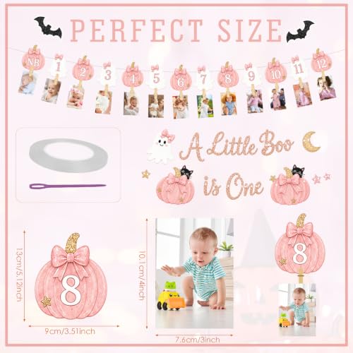 Pink Pumpkin Ghost First Birthday Photo Banner - Variation of THIS Listing