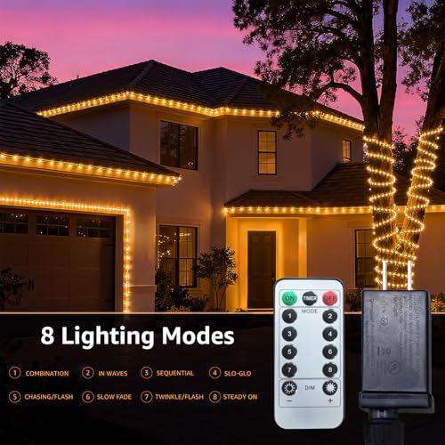 Blue 2x50ft LED Rope Light with Remote & 8 Modes - Outdoor Twinkle Decor