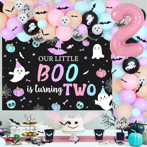 2nd Birthday Decorations for Girl Halloween Balloon Garland Backdrop Bat Stickers