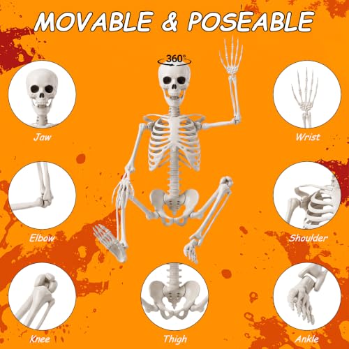 3Ft Halloween Skeleton Decorations - Realistic Skull & Fully Posable for Indoor & Outdoor Use - Medium Variation