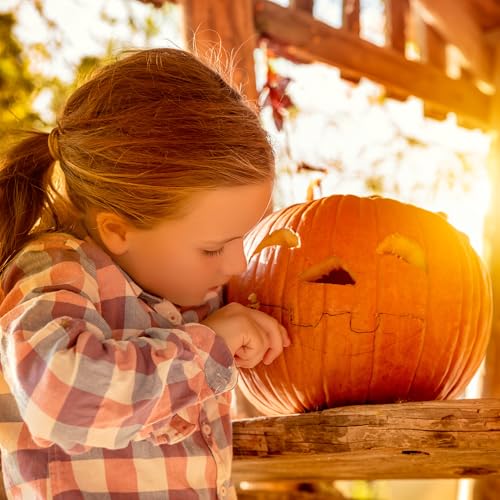 15 Piece Pumpkin Carving Kit with Saws Scoop Pattern Book for Halloween - Includes 3 Saws, 1 Scoop, 1 Poker, 10 Patterns
