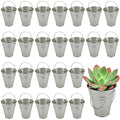 Mini Galvanized Bucket Set - 25 Pails for Parties, Decor, Gardening & Gifts