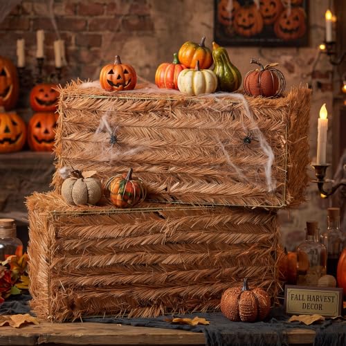 2 Pack Fall Halloween Decorative Straw Hay Bales - 20 x 9 x 8 Inches, Rustic Autumn Decor