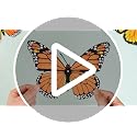 Monarch Butterfly Decoration Kit - Large Halloween Photo Wall & Party Decor