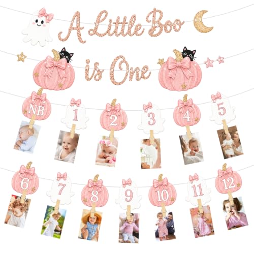 Pink Pumpkin Ghost First Birthday Photo Banner - Variation of THIS Listing