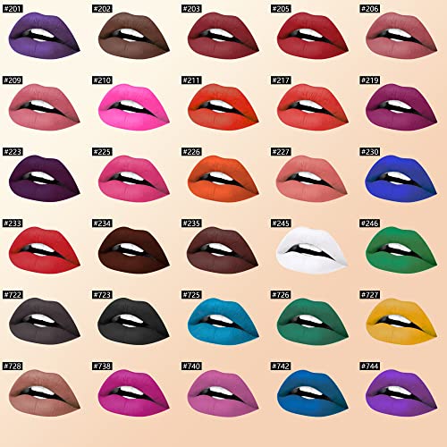 Black Matte Liquid Lipstick 0.17 Fl Oz - Waterproof Non-Stick Lip Color - #723