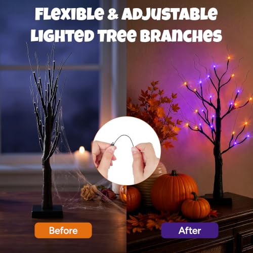 Black Halloween Indoor Decor 2 Pack 2FT Lighted Birch Tree with Orange & Purple Lights