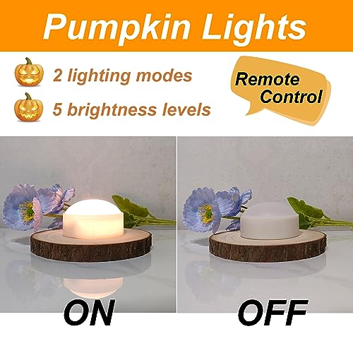 Halloween Pumpkin Lights 6 Pack with Remote & Timer - White - iZAN