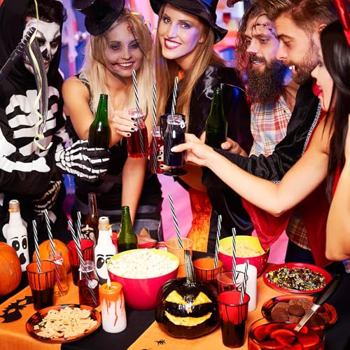 Halloween Style Reusable Black and White Straws - 30 Pack with Brush