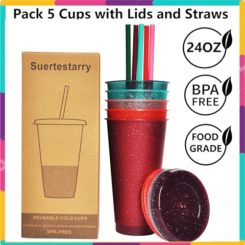 Rainbow 24oz Water Bottle Set with Straws and Lids - Reusable Plastic Travel Cups - 5 Pack