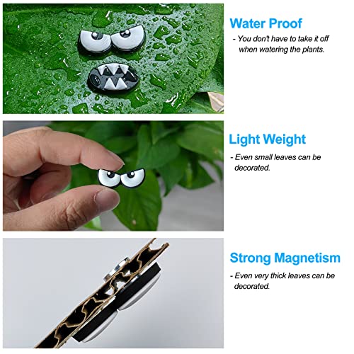 Monster Plant Magnets Eye - Funny Plant Lover Gift with Black-White Variation