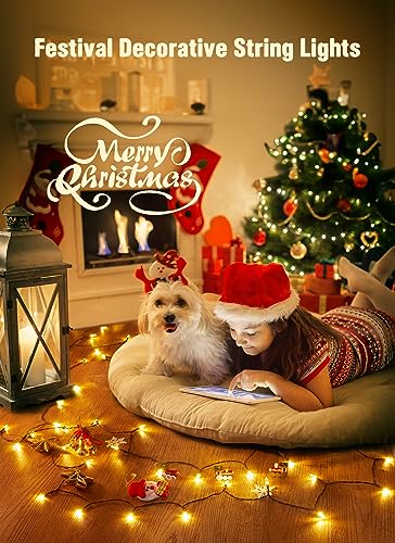 Brightown Warm White Battery String Lights - 4 Pack Indoor Xmas Decor