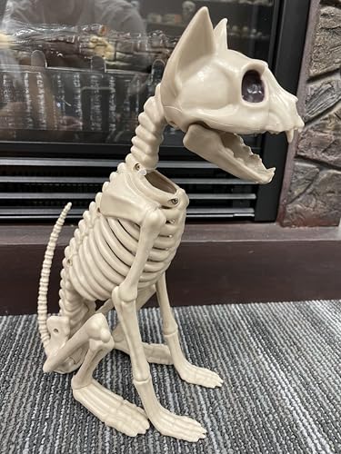 Halloween Skeleton Cat Decoration - Spooky Sitting Skeleton Cat 11 Inch