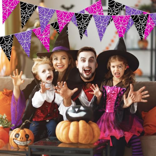 Halloween Spider Web Bunting Flags - Purple, 49.2 ft, 5 Pcs