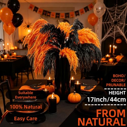 Black and Orange Pampas Grass for Halloween Decorations - 17 Inches