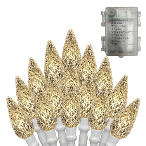 Anycosy Battery-Powered Indoor Outdoor String Lights - Warm White, 50 C3 LEDs