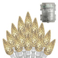 Anycosy Battery-Powered Indoor Outdoor String Lights - Warm White, 50 C3 LEDs