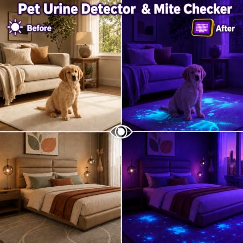 Rechargeable LED Black Lights - 2 Pack Portable Blacklight with 2 Modes