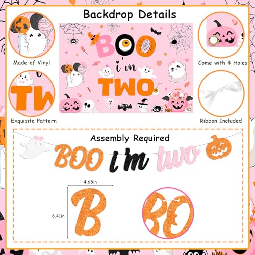 Halloween 2nd Birthday Decorations Girl Pink & Orange Party Supplies Set