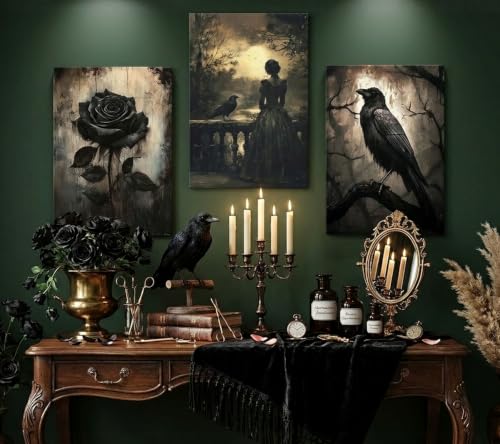 Crow Woman Gothic Canvas Wall Art Dark Academic Decor 16x24in Framed - Variation of Crow Woman / Wrapped Canvas / 24"L x 16"W
