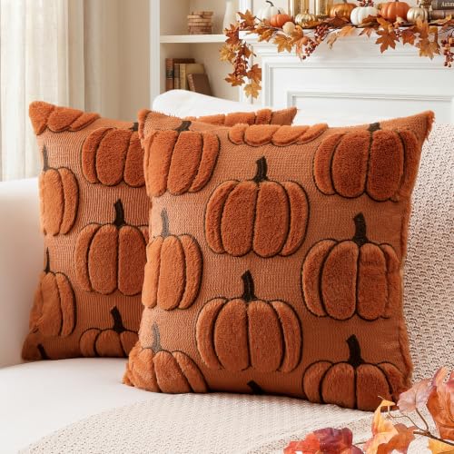 Artscope Fall Pumpkin Throw Pillow Covers 18x18 Set of 2 - Rust Autumn Decor