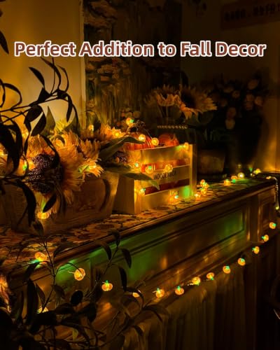 3D Pumpkin String Lights 10Ft Halloween Decorations LED Battery Operated Orange