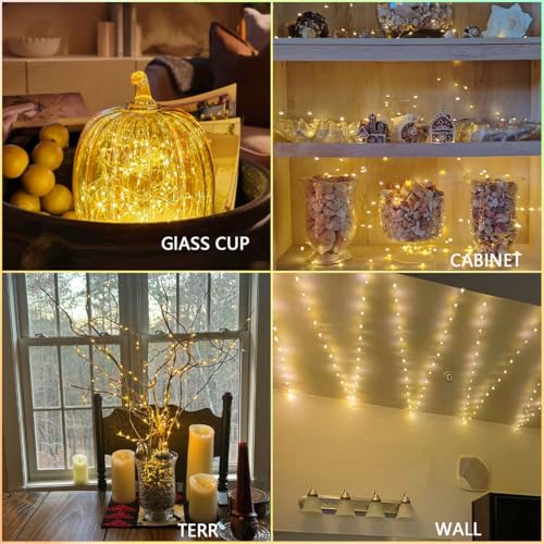 USB Fairy String Lights 33ft 100 LED Warm White 8 Modes Remote Timer 2 Pack