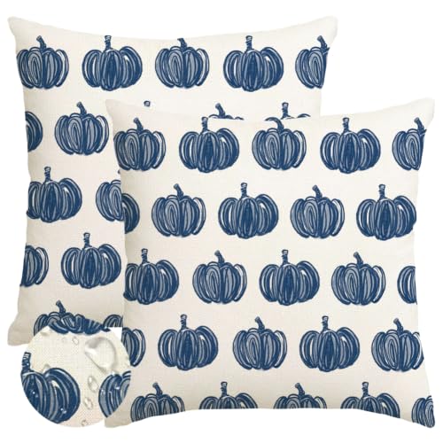 Outdoor Pillow Covers 18x18 Waterproof Blue Pumpkin Set of 2 Fall Decor