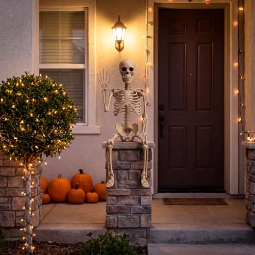 3Ft Halloween Skeleton Decorations - Realistic Skull & Fully Posable for Indoor & Outdoor Use - Medium Variation