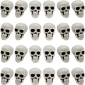 24 Mini Plastic Skull Heads for Halloween Decorations - 2.4 Inch Set of Spooky Skeletons