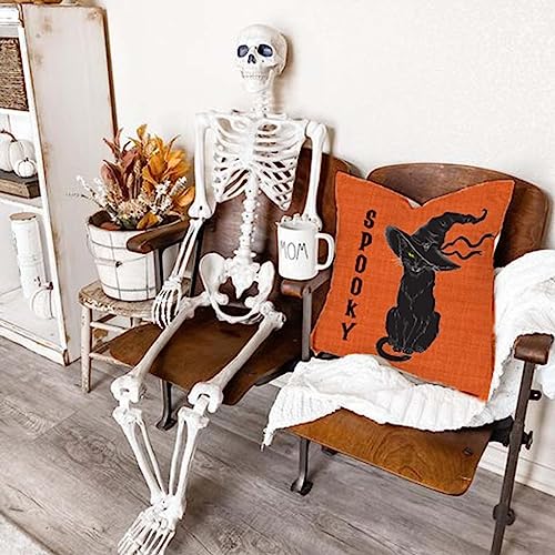 Halloween Black Cat Throw Pillow Cover 18x18 Spooky Farmhouse Decor