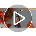 9.85 Inch Fall Decor Snow Globe Lantern with Turkey and Pumpkins - Thanksgiving Table Centerpiece