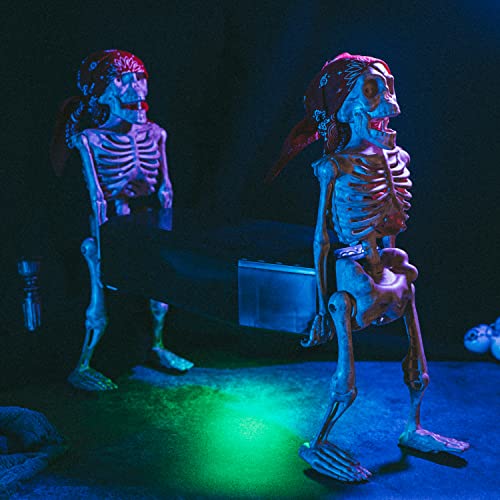 Walking Corpse Skeleton Coffin Prop - Light Up Halloween Animatronic for Indoor & Outdoor Haunted House, Spooky Yard Decor, Moving Skeleton with Skull Casket - Variation: Walking Corpse